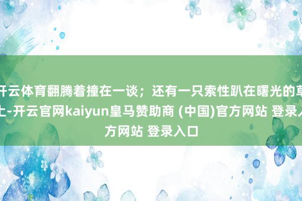 開云體育翻騰著撞在一談；還有一只索性趴在曙光的草地上-開云官網kaiyun皇馬贊助商 (中國)官方網站 登錄入口