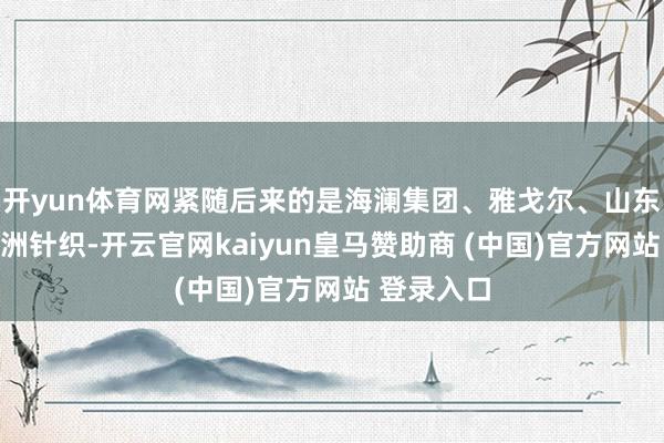 開yun體育網緊隨后來的是海瀾集團、雅戈爾、山東如意、申洲針織-開云官網kaiyun皇馬贊助商 (中國)官方網站 登錄入口